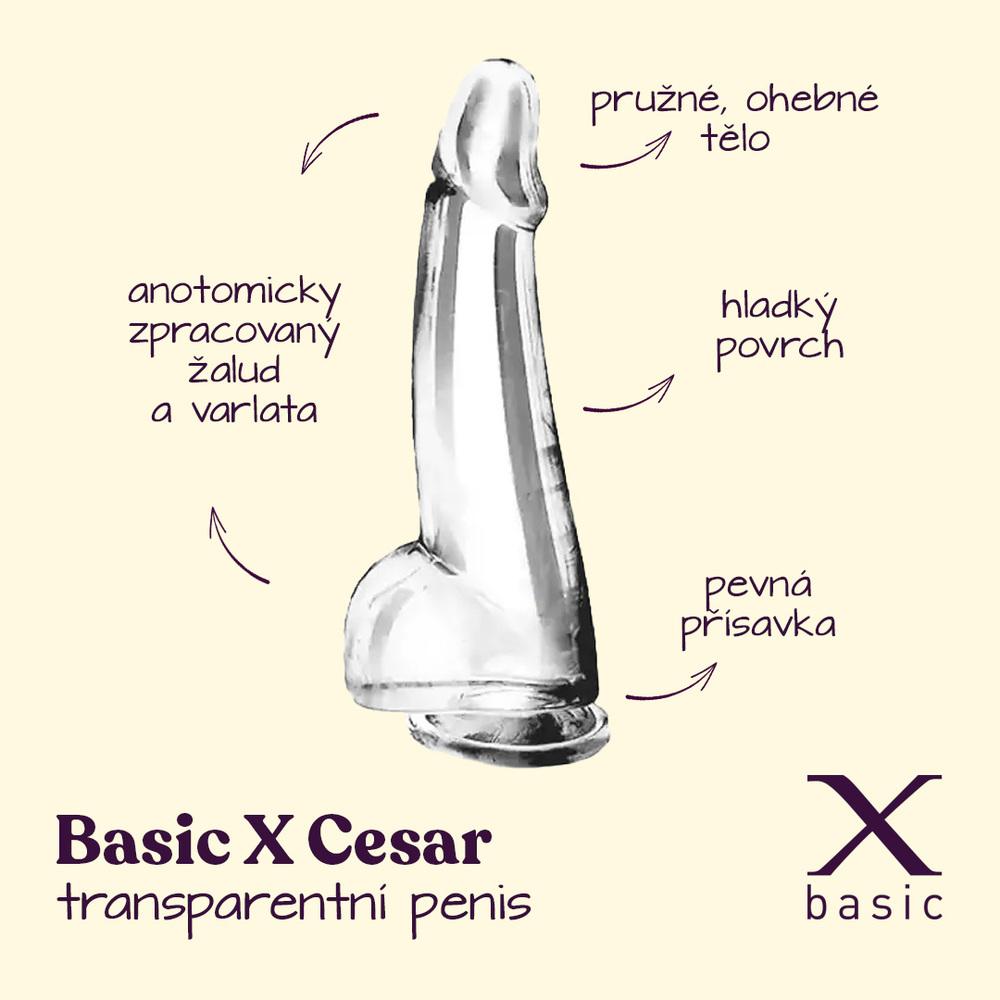 BASIC X Cesar transparentní penis s přísavkou L - Image 2