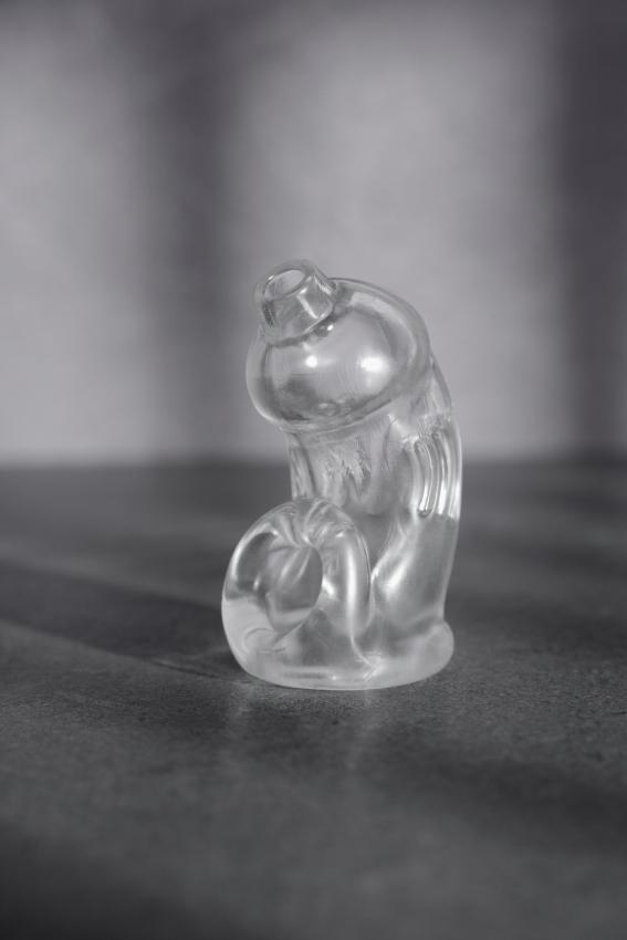 ManCage 29 Klec na penis - transparentní - Image 3