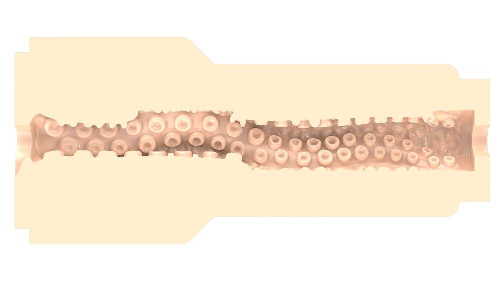 Fleshlight Fantasy Sasha Nakamoto (Ecchi) vagina - Obrázek 4