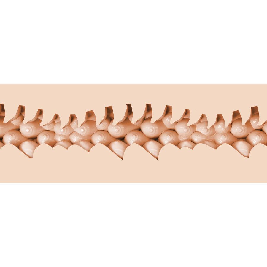 Fleshlight Fantasy Evie Akashiya (Sho Akuma) vagina