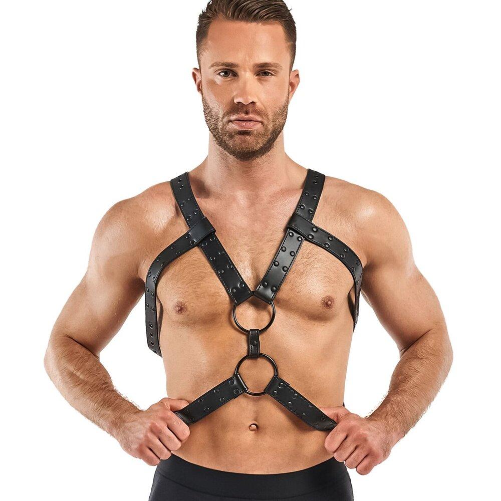 Bedroom Fantasies Rocco Bondage harness