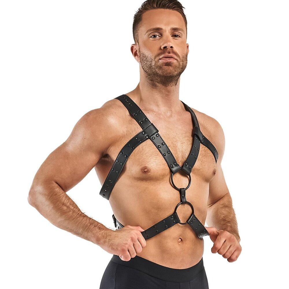 Bedroom Fantasies Rocco Bondage harness