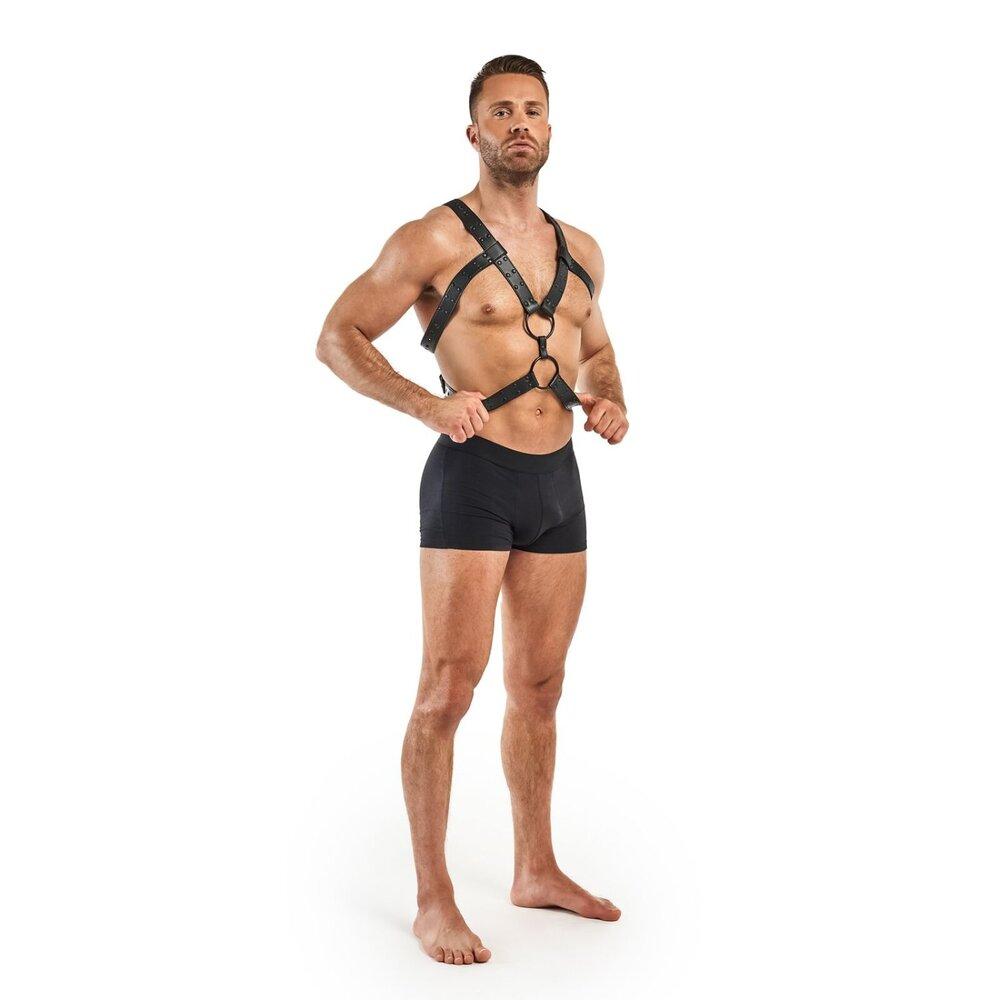 Bedroom Fantasies Rocco Bondage harness