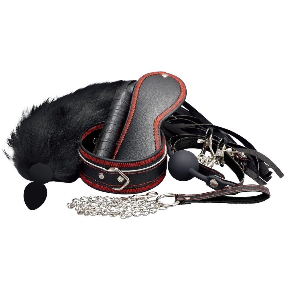 Erospace BDSM set Wild Play C8