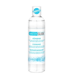 Lubrikační gely na vodní bázi - Waterglide Lubrikační gel Cooling 300 ml