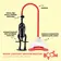 Vakuové pumpy pro ženy - BOOM LUVPUMP Vacuum master vakuová pumpa pro ženy - BOM00160