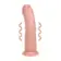 Realistické vibrátory - RealRock Regular Curved Cock vibrátor 20 cm - tělový - REA188FLE1