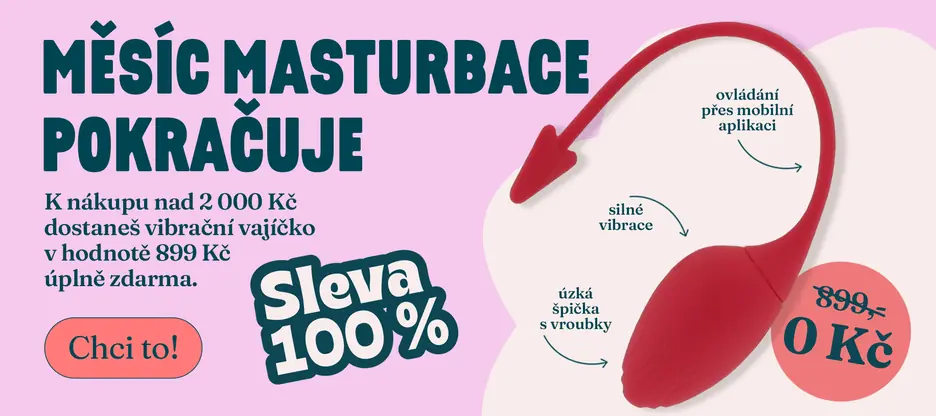 100% sleva na vibrátor do kalhotek BASIC X Succubus